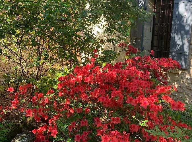 Hébergement de vacances De Charme Le Bibendôme Et Les Mots Bleus En Pleine Forêt